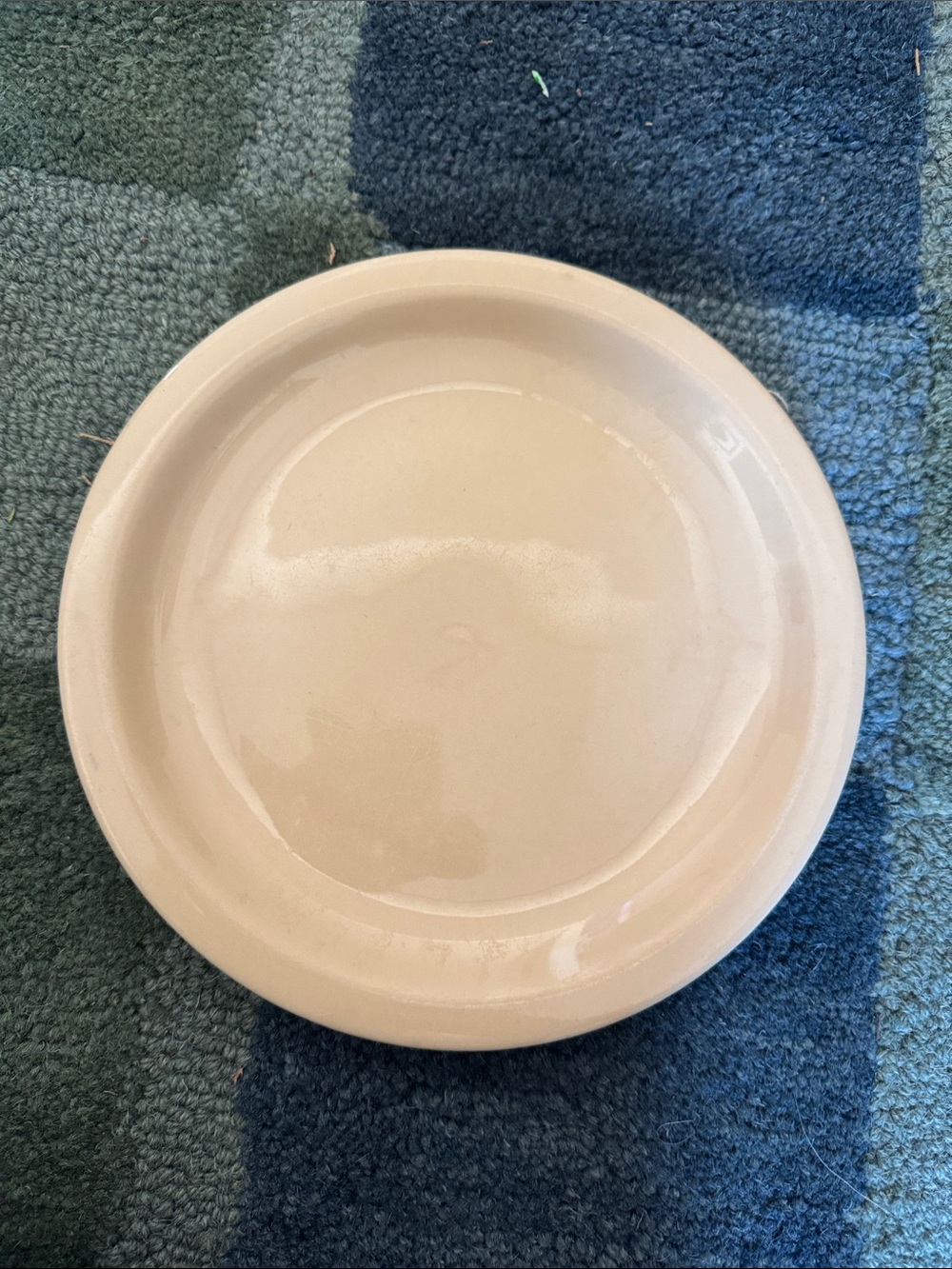 Vintage Buffalo china, 9 inch round plates